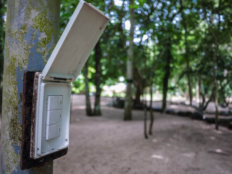 Eco-Friendly Options